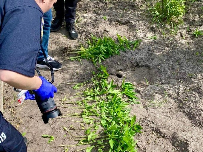 На Харківщині затримали двох чоловіків за збут наркотиків